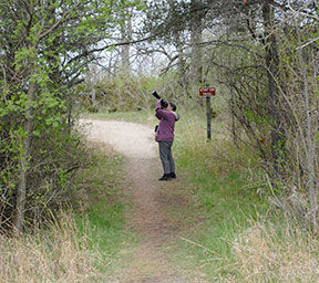 SEASONED BIRDER